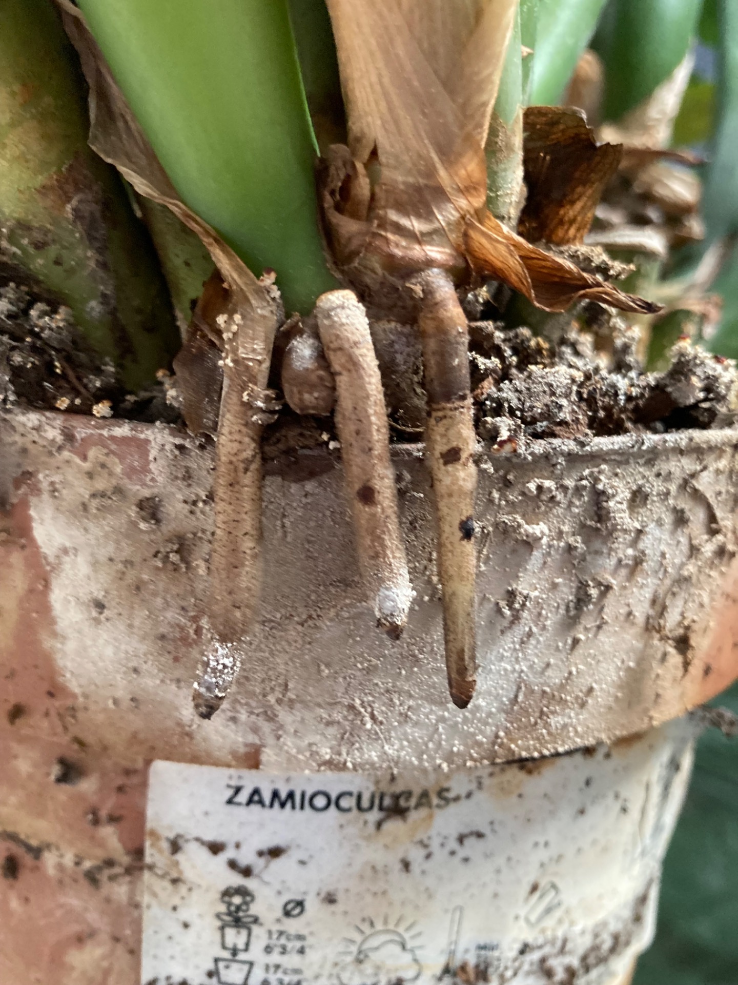 Už neutíká, má novou ubykaci ✔️ 